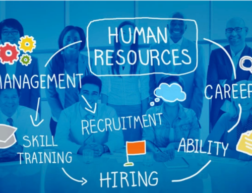 How HR and Management Skills Assessment Tests Help to Find Perfect Fit?