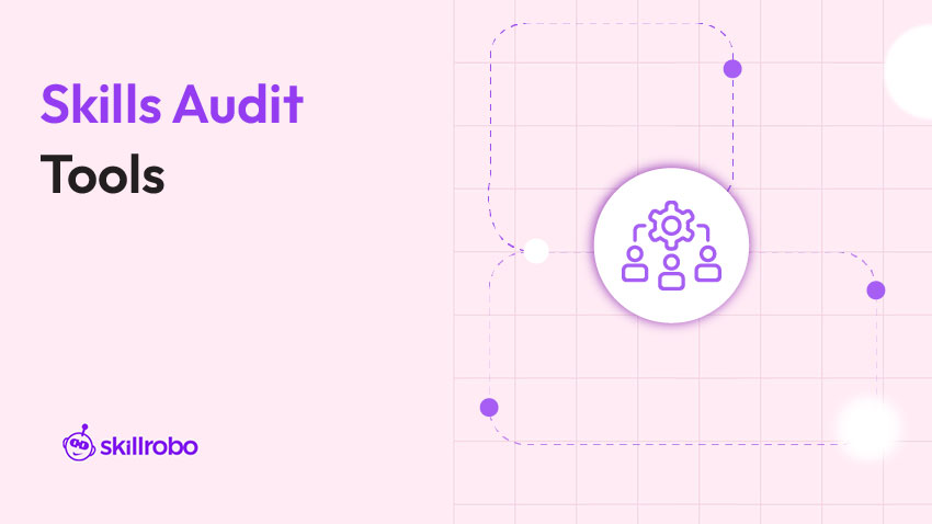 skills audit tools